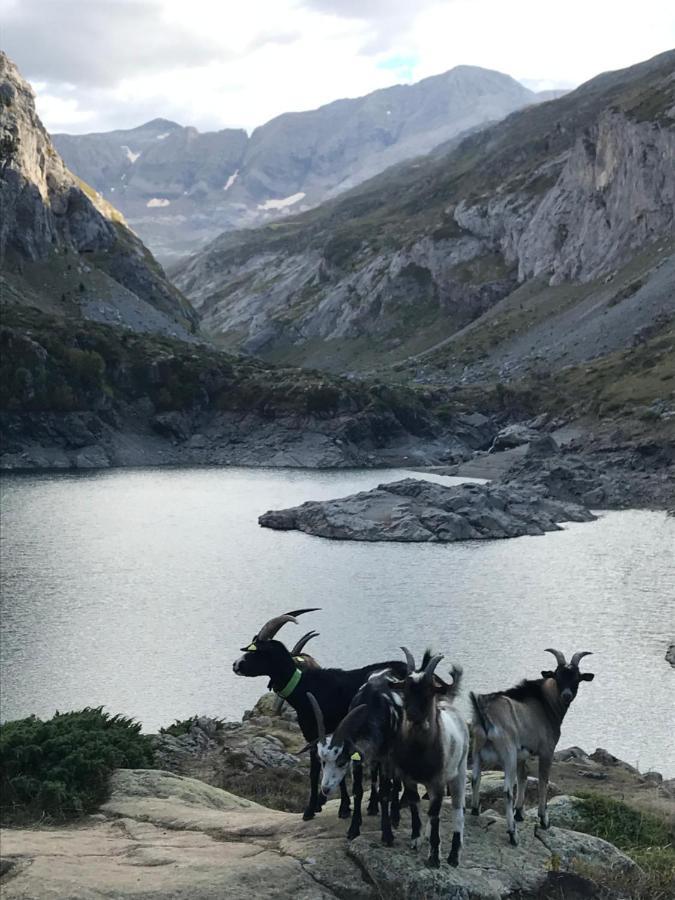 Gavarnie Résidence Les 3 Cirques